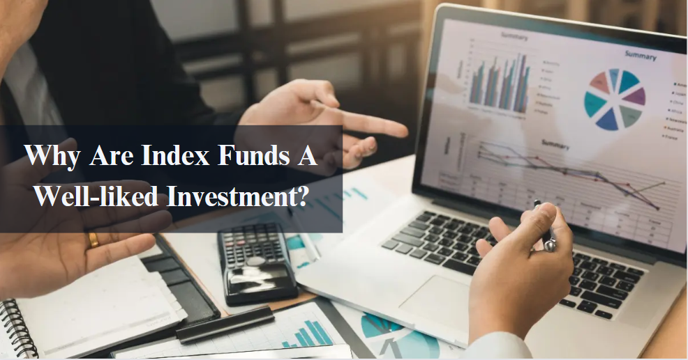 Why Are Index Funds A Well-liked Investment?